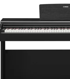 yamaha_ydp-145b_03
